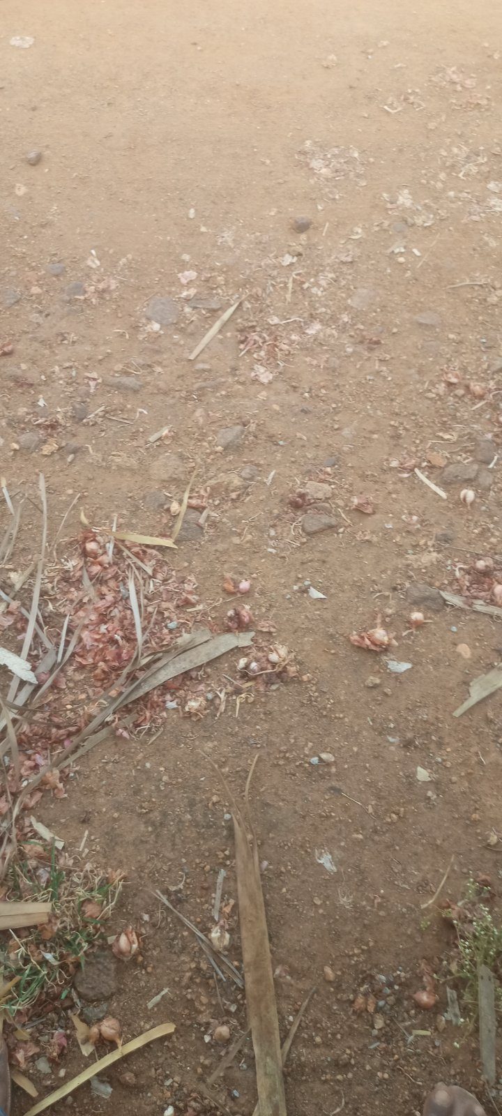 Agricultural land for sale